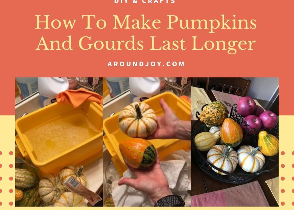 How To Make Pumpkins And Gourds Last Longer